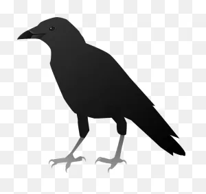 Crow Clipart. Free Download Transparent .png | ClipartFlare