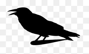 Crow Raven Silhouette - Free Vector Graphic On ClipartFlare