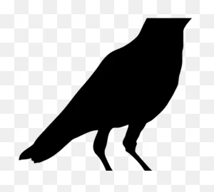 Crow Clipart Crow Head - Black Crow Bird Printable - Png Download ClipartFlare.com 
