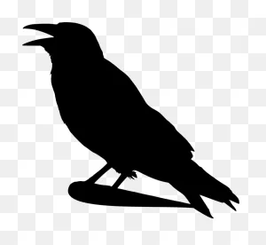 Crow Raven Bird - Free Vector Graphic On ClipartFlare