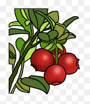 Free Cranberry Cliparts, Download Free Cranberry Cliparts Png ClipartFlare.com 