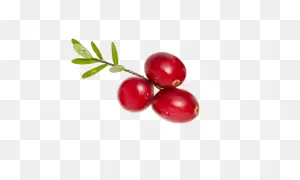 Ocean Spray® Products | Ocean Spray