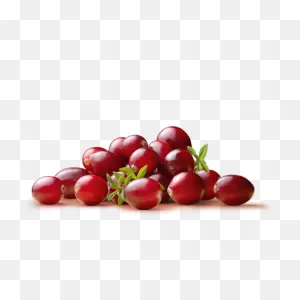 Pacific Coast Fruit Products Ltd. | Cranberry - Pacific Coast ClipartFlare.com 