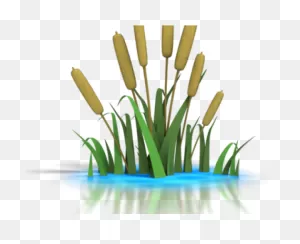 Download Reed Clipart Lily Pad Pond - Pond Clip Art Png Image With ClipartFlare.com 