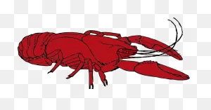 6  Crawfish Clip Art Free - Preview : Crayfish Clip Art | ClipartFlare