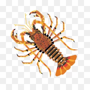Crawfish | Good Fish Guide