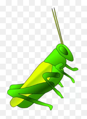 Cricket Clip Art At ClipartFlare ClipartFlare.com - Vector Clip Art Online, Royalty ClipartFlare.com 