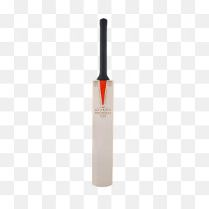 2022 Gray Nicolls Legend Cricket Bat