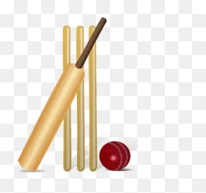 11 Best Cricket Stumps Ideas | Cricket Stumps, Cricket, Cricket Bat