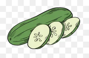 Cut Cucumber Clipart. Free Download Transparent .png | ClipartFlare