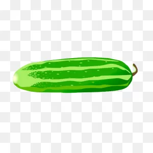 Cucumber | Free PNG-WebP