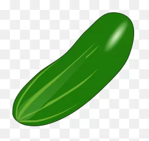 Cucumber Slice Png - Cucumber Png Clipart - Full Size Clipart ClipartFlare.com 