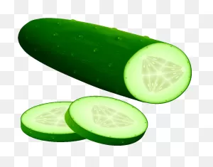 Cucumber Slice - Cucumber Clip Art Free - Png Download - Full Size ClipartFlare.com 