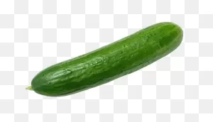 Cucumbers Png Image - Cucumber Clipart - Full Size Clipart ClipartFlare.com 