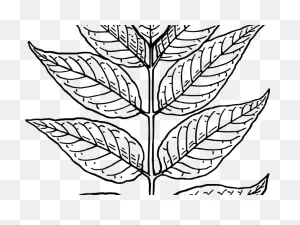 Download Curry Leaves Cliparts - Tobacco Leaves Clip Art - Full ClipartFlare.com 