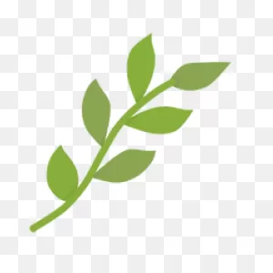 ClipartFlare - Naturally Grown Products Online Store