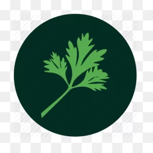 Vector Black And White Library Vegetables By Sreejith - Curry Leaf ClipartFlare.com 