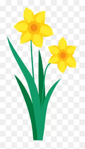 Daffodil Clipart. Free Download Transparent .png | ClipartFlare