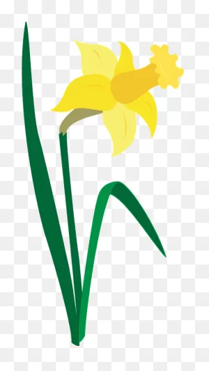 Daffodil Clipart. Free Download Transparent .png | ClipartFlare