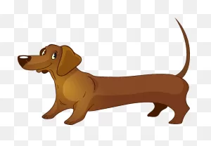 Dachshund Clipart. Free Download Transparent .png | ClipartFlare