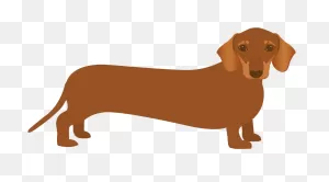 Dachshund Clipart - Full Size Clipart (#5747818) - ClipartFlare