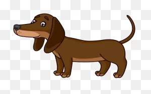 Dachshund Clipart. Free Download Transparent .png | ClipartFlare