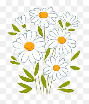 Daisy Clipart. Free Download Transparent .png | ClipartFlare