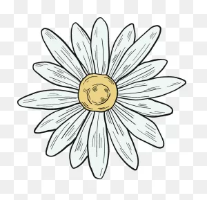 Daisy Clipart. Free Download Transparent .png | ClipartFlare