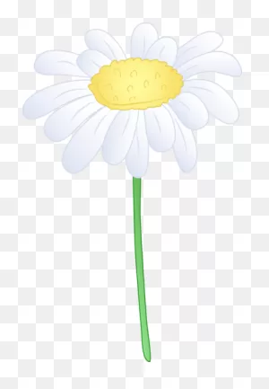 Free Daisy Images, Download Free Daisy Images Png Images ClipartFlare.com 