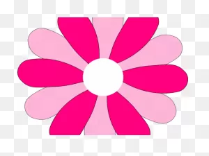 Gerber Daisy Clipart - Png Download - Large Size Png Image - ClipartFlare