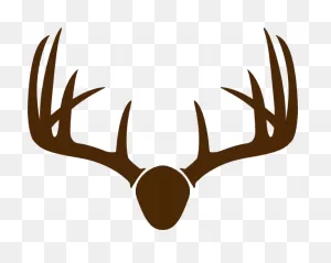 Brown Deer Skull Mount Clip Art At ClipartFlare ClipartFlare.com - Vector Clip Art ClipartFlare.com 