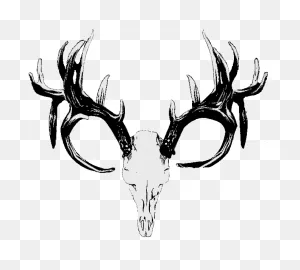 Red Deer Hunting White-Tailed Deer Skull - Deer Skull Png Download ClipartFlare.com 