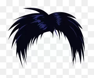 Hair Wig Black - Free Vector Graphic On ClipartFlare