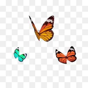 Dwtd Taoso By Demi Lovato | ClipartFlare