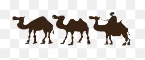 Camel Desert Drawing Clip Art - Sahara Desert Clip Art - Png ClipartFlare.com 