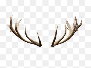 Deer Antlers Horns Png Image (Isolated-Objects) | Textures For ClipartFlare.com 