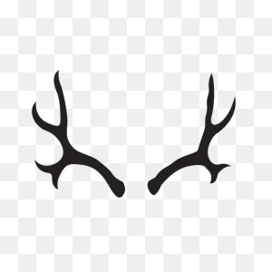 Mule Deer Antler Silhouette Transparent Png & PNG-WebP Vector