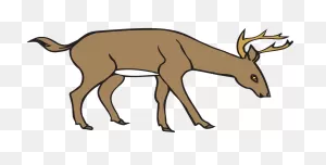 Deer Clipart Free Images Statuswallpaper - Deer Eating Grass ClipartFlare.com 