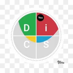 Disc® Dot And Priorities Explained - Disc Profile