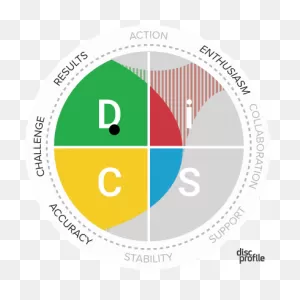 What Happened To My Disc Style: Ic/ci Or Ds/sd? – Disc Profiles