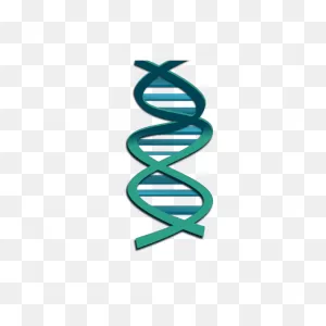 Dna Png, PNG-WebP Clip Art For Web - Download Clip Art, Png Icon Arts