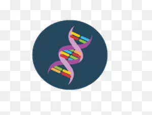 Dna Science Icons Yellow And Blue Clipart The Arts Media - ClipartFlare
