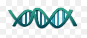 Dna Clip Art At ClipartFlare ClipartFlare.com - Vector Clip Art Online, Royalty Free ClipartFlare.com 