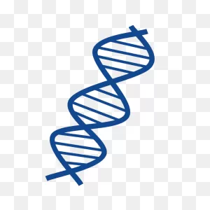 Free Dna Cliparts, Download Free Dna Cliparts Png Images, Free ClipartFlare.com 