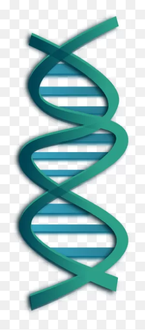 Free Dna Cliparts, Download Free Dna Cliparts Png Images, Free ClipartFlare.com 
