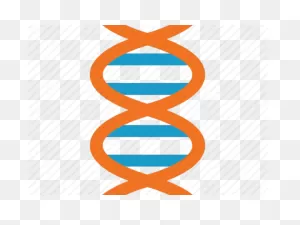 Dna Structure Clipart Dna Strand - Dna | Full Size Png Download ClipartFlare.com 