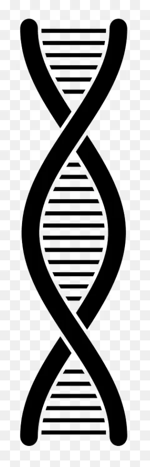 Dna Clipart. Free Download Transparent .png | ClipartFlare