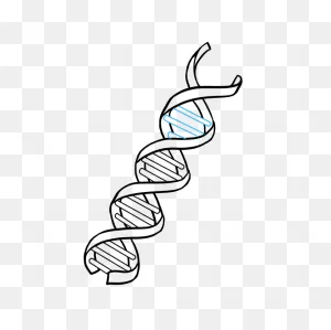 How To Draw Dna - Really Easy Drawing Tutorial