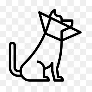 Animals, Care, Clean, Cone, Dog Icon - Download On Iconfinder