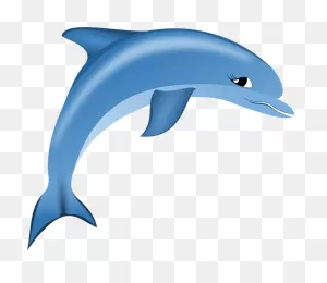 Dolphin - Free Vector Graphic On ClipartFlare